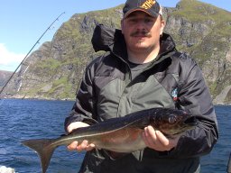 Norwegen 2008 Rundereim
